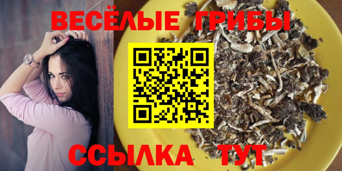 Галлюциногенные грибы прущие грибы  Псилоцибиновые грибы ЛСД  купить закладку  Михайловка  Вход с VPN 